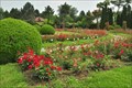 Image for Rose Garden of Iasi Botanical Garden, Iasi, Romania