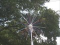 Image for Deland Fireworks Tree - Deland, FL