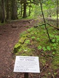 Image for Ohanapecosh Hot Springs Nature Trail - Mt Rainier