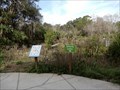 Image for Enchanted Forest Sanctuary Butterfly garden - Titusville, FL