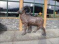 Image for Bighorn Sheep - Jasper Brewing Company - Jasper, Alberta