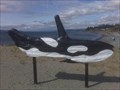 Image for An Orca Whale In Brackett's Landing Park - Edmonds, WA