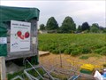 Image for Strawberry Field of St. Margarethen Farm - Binningen, BL, Switzerland