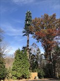 Image for NOVAHOP Cell Tower - Oakton, Virginia