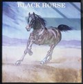 Image for Black Horse - Brent Pelham, Hertfordshire, UK.
