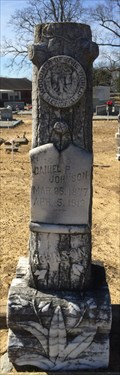 Image for Daniel P Johnson - Newville Baptist Church Cemetery - Newville, AL