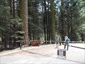 Image for Dorst Creek - Sequoia Nat'l Park - CA