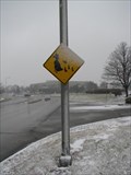 Image for Goose Crossing - Naperville, Illinois