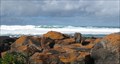 Image for My Favourite Wave Viewing Spot - Ocean Drive, Port Fairy, Victoria