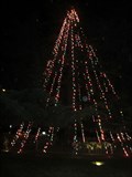 Image for Santa Clara Christmas Tree - Santa Clara, CA