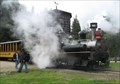 Image for Roaring Camp and Big Trees Railroad