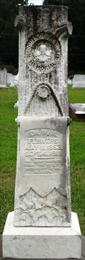 Image for Dr. W.M. Flowers - Florence Cemetery - Florence,MS