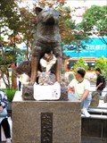 Image for Hachiko Statue Turns 70 Years Old - Tokyo, Japan