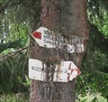 Image for Tree eating hiking signs - Tlsta hora, SK