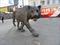 Image for Tiger  -  Oslo, Norway