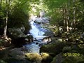 Image for Lynn Camp Prong Cascade - Great Smoky Mountains National Park, TN