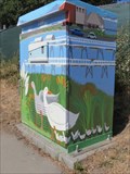 Image for Ducks and Docks Utility Box - Santa Cruz, CA