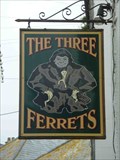 Image for The Three Ferrets, Chapel St., St. Ives, Cornwall, England