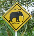 Image for Elephants Crossing - Taro, Bali