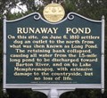 Image for Runaway Pond - Glover