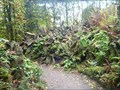 Image for OLDEST - stumpery in Britain - Biddulph, Staffordshire, England, UK