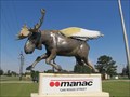 Image for manac Flying Moose - Kennett, Missouri