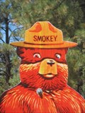 Image for Smokey Bear - SR 260, Overgaard, Arizona