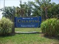 Image for Welcome to Chapin