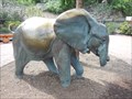 Image for Ganesia - San Antonio Zoo, San Antonio, TX