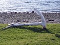 Image for Anchor - Catacol, Isle of Arran, Ayrshire UK