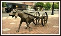 Image for Goatcart — Bellingham, WA
