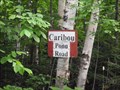 Image for Caribou Pond Road - Maine, USA