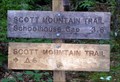 Image for Scott Mountain Trail at junction of Indian Grave Gap Trail and Crooked Arm Ridge Trail - Great Smoky Mountains National Park, TN