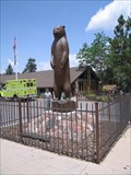 Image for James Ward Bear at Community Services Dept - Big Bear City, CA