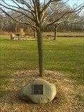 Image for Gloria Jean Parker Tree - Heritage Park - Grandville Mi.