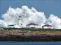 Image for Machias Seal Island Light