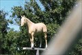 Image for Palomino on a Pole - Strafford, MO