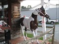 Image for Fiberglass Horse at the Hoof and Woof - Mint Hill, NC