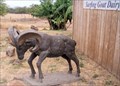 Image for Bronze Goat at Surfing Goat Dairy  -  Kula, HI
