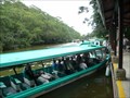 Image for Tortuguero Canal - Limon, Costa Rica