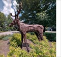 Image for Moose Jemicy School - Maryland, US