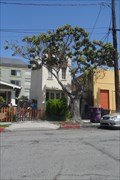 Image for Skinny House  -  Long Beach, CA