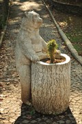 Image for The Bear in Gulhane Park - Istanbul, Turkey