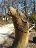 Image for Howling Wolf; Regenstein Wolf Woods - Brookfield Zoo