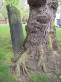 Image for Hungry Tree, St Paul's Churchyard, Birmingham, UK
