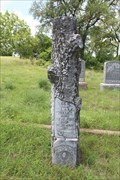 Image for Lee H. Moseley - Shiloh Cemetery - Troy, TX