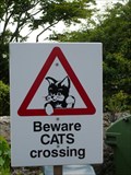 Image for Beware Cats crossing  - Guernsey