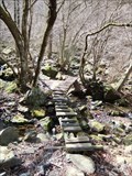 Image for Hiking Path to "Unazawa no Yon-Taki" - Tokyo, JAPAN