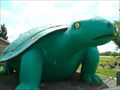 Image for Ernie, Canada's Largest Turtle