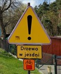 Image for Warning! Tree in the road! - Zwierzyniec, Poland